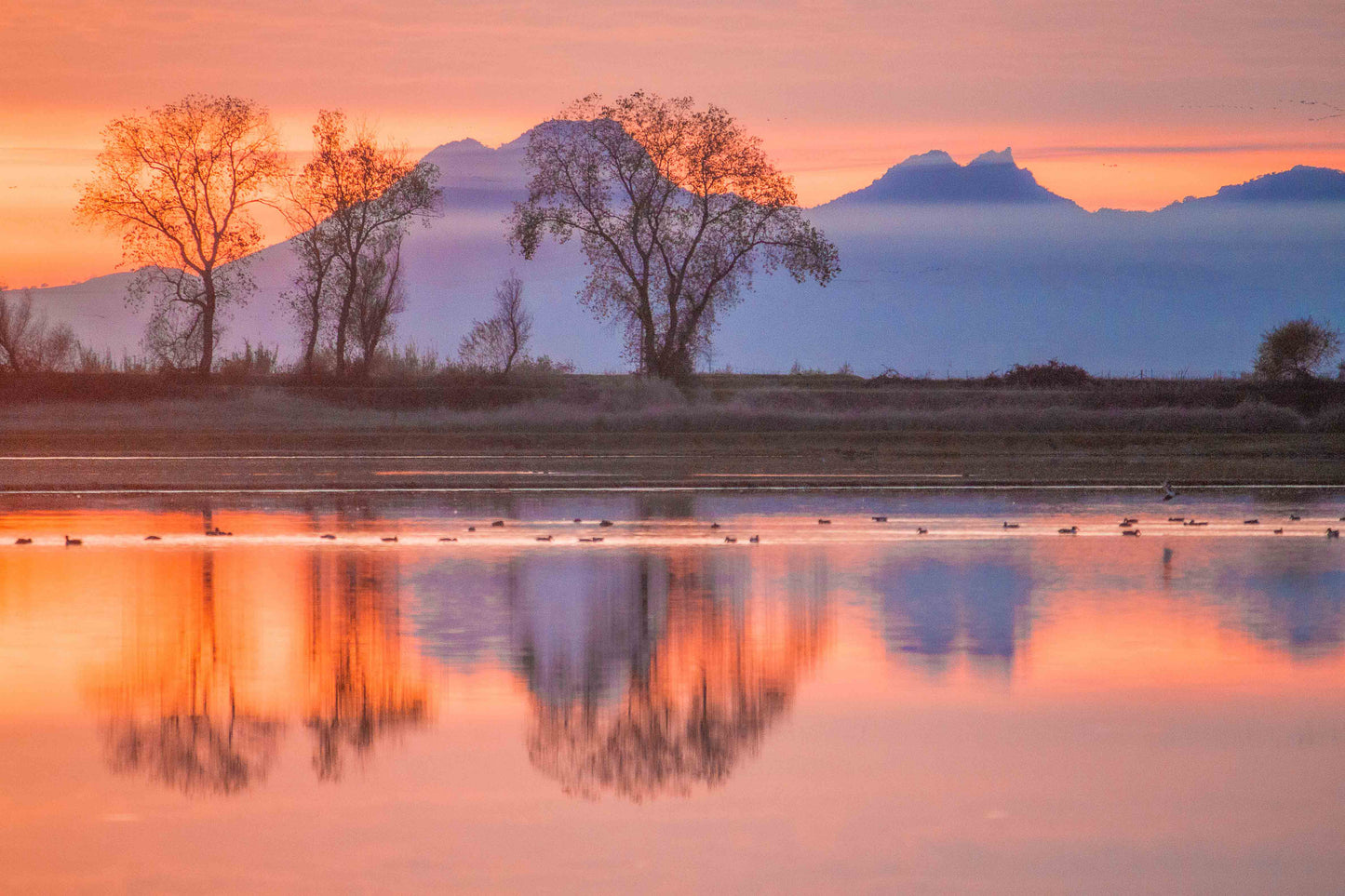 Sutter Buttes Sunset - Metal Print | by Jonathan Beth