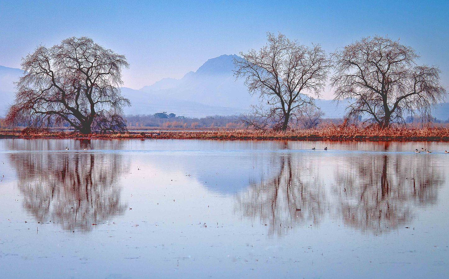 Sutter Buttes View - Framed Print | by Jonathan Beth