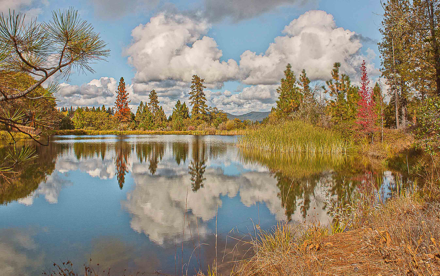 Lake Francis View - Framed Canvas Print | by Jonathan Beth