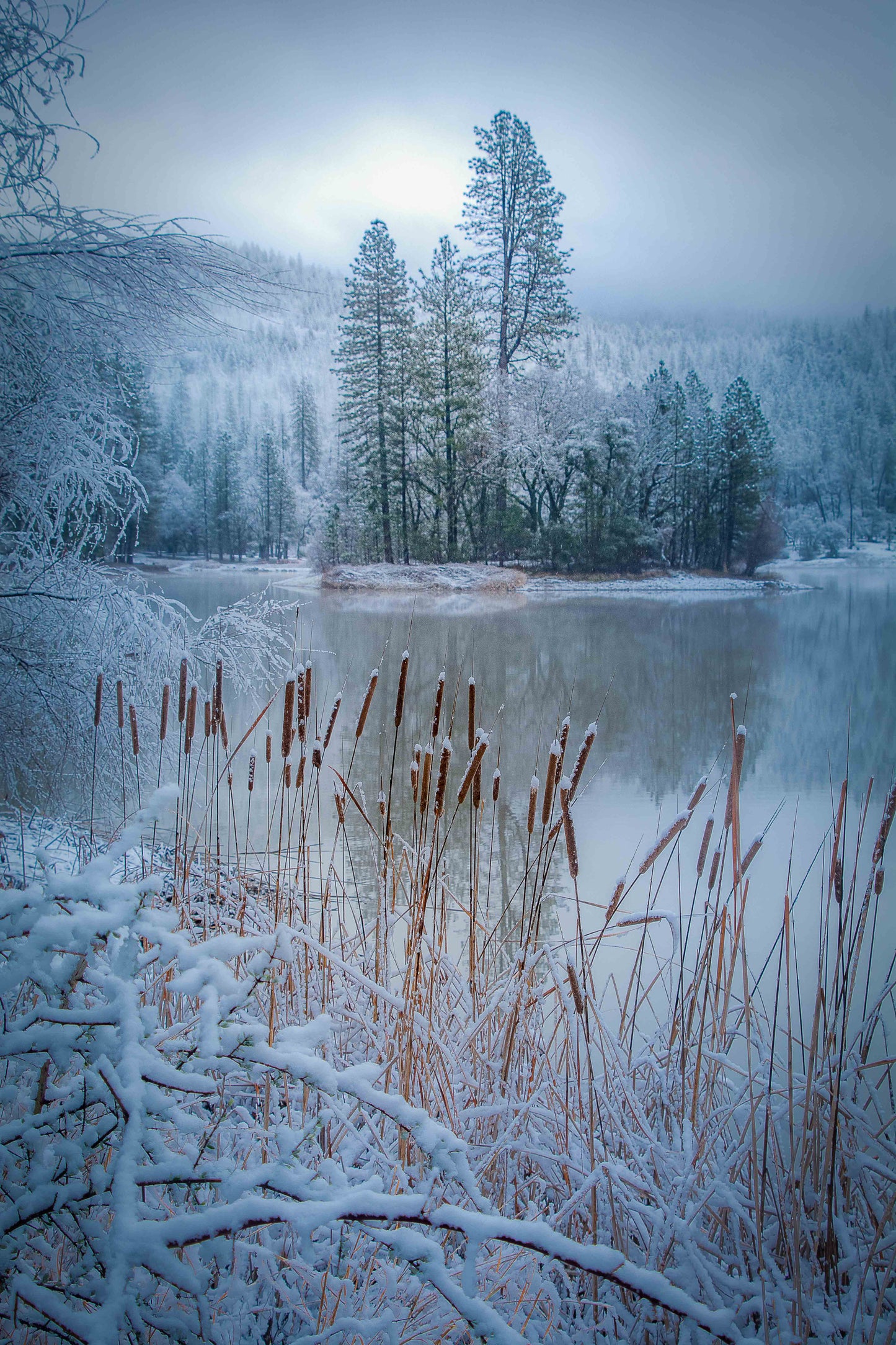 Lake Francis Snow Scene - Metal Print | by Jonathan Beth